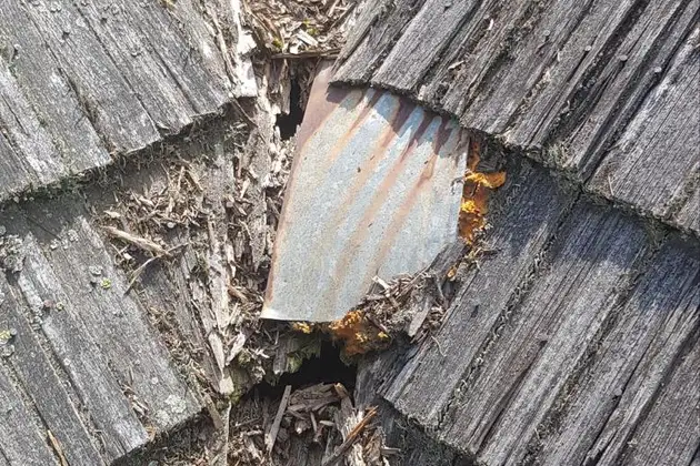 Remont dachu, diagnoza i detale uszkodzeń