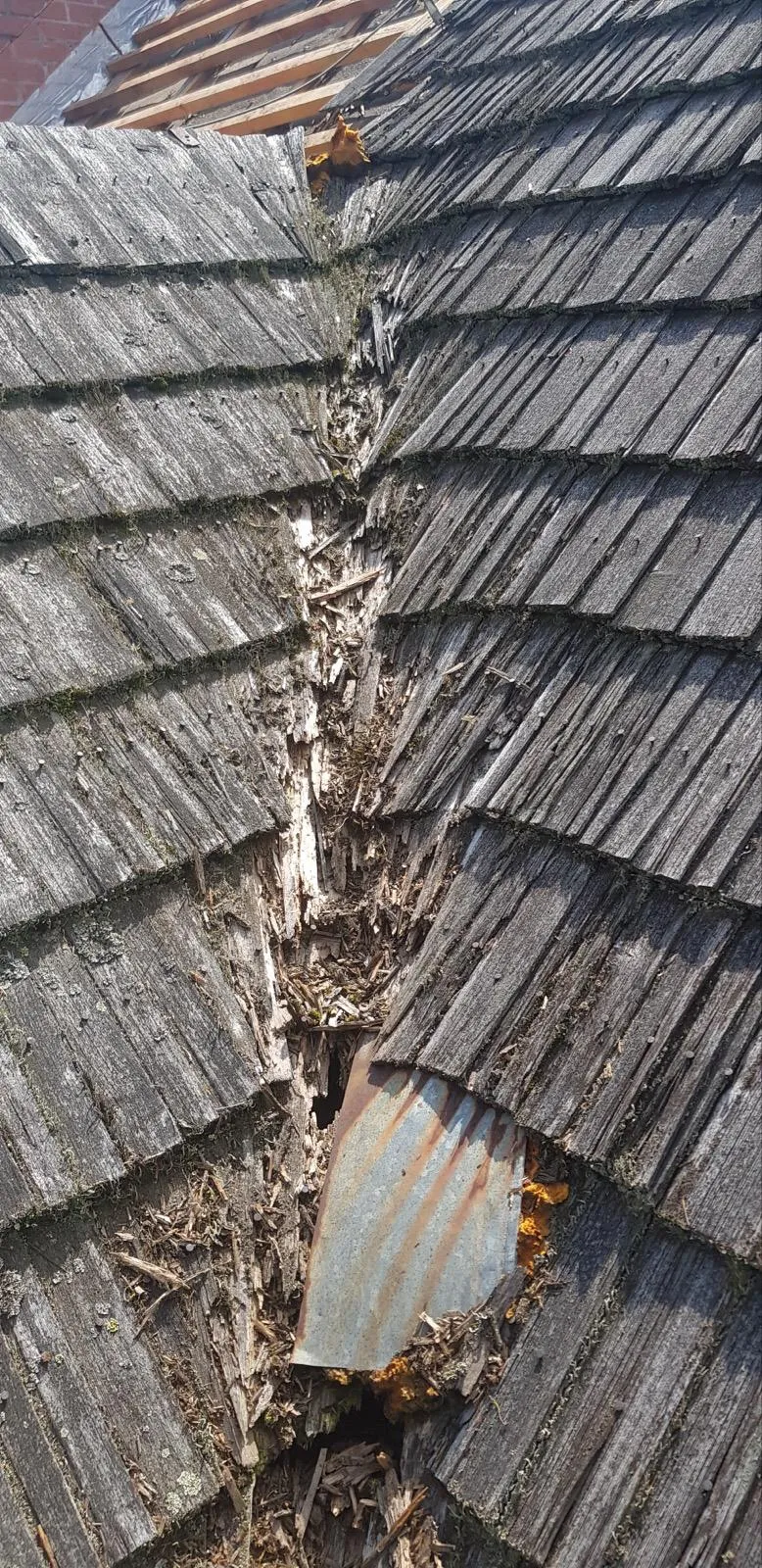 Skala zużycia i zawilgocenia w miejscu, które wymagało solidnej interwencji remontowej.