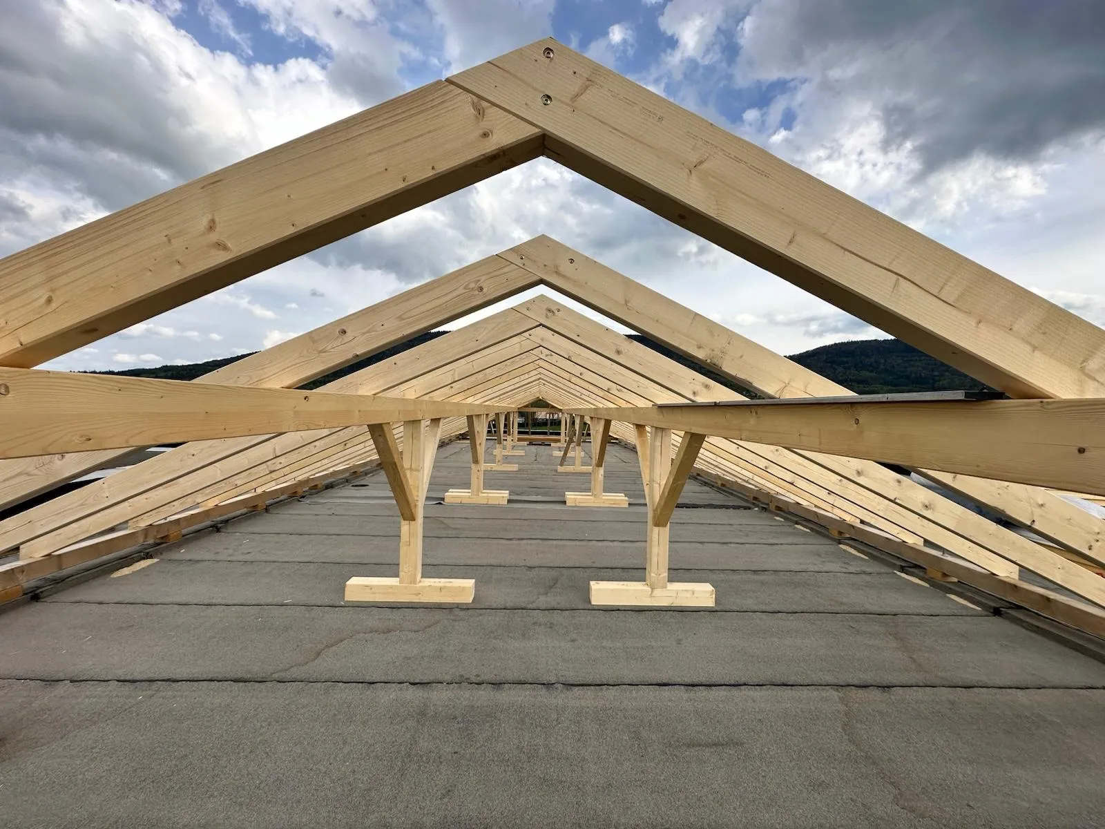 Front budynku z czytelnym układem głównych wiązarów i kalenicy.